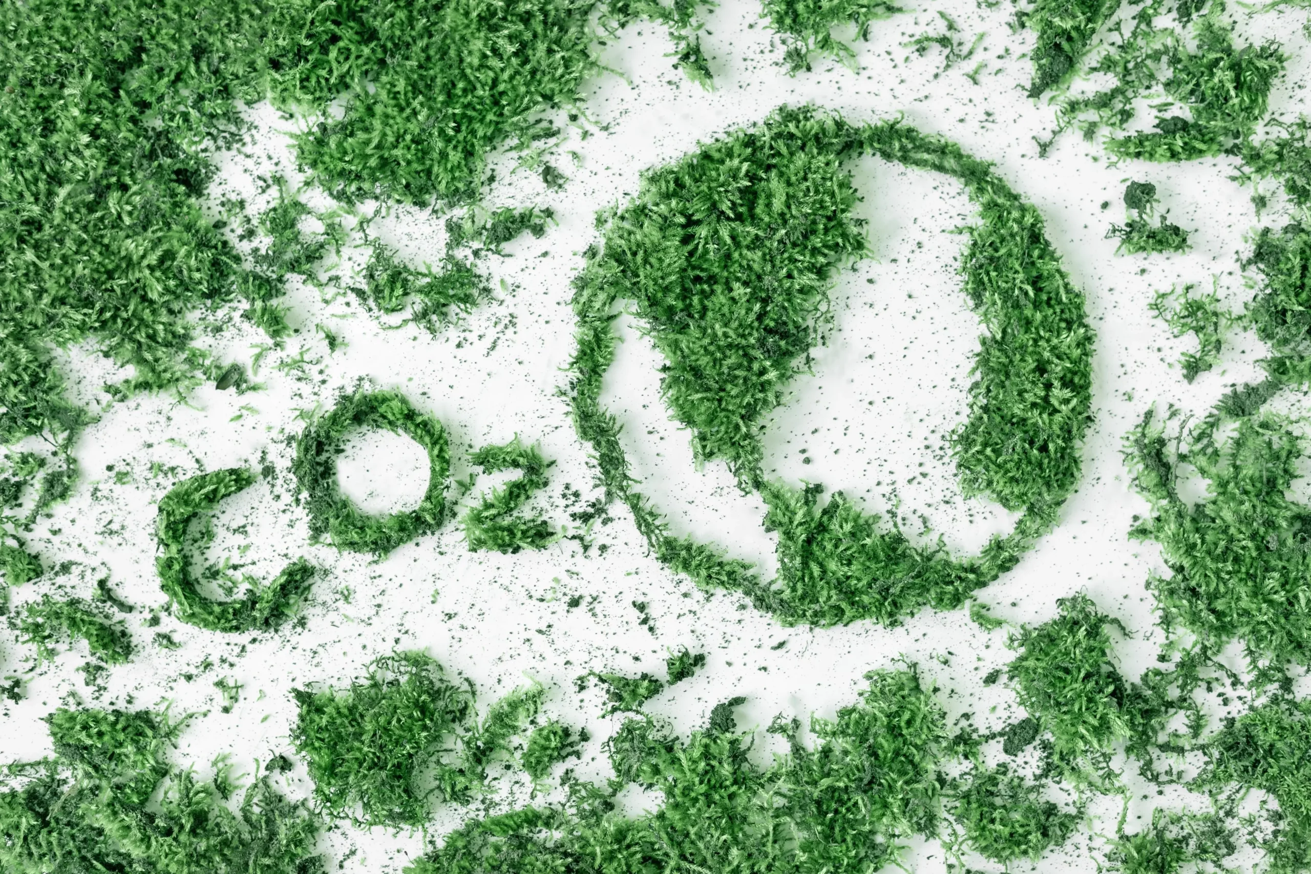 Environmental concept: Grass inscription with the word CO2 and a drawing of a planet.